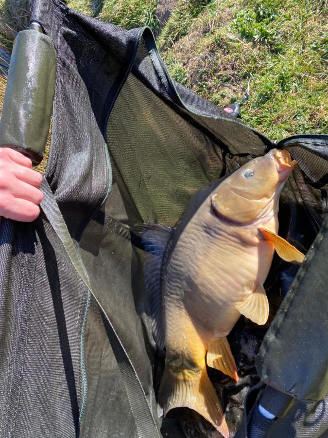 Fonclaire Holidays Carpers Rest Blond Bagian luar foto